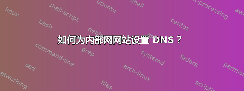 如何为内部网网站设置 DNS？