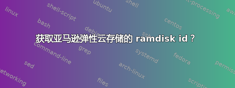 获取亚马逊弹性云存储的 ramdisk id？