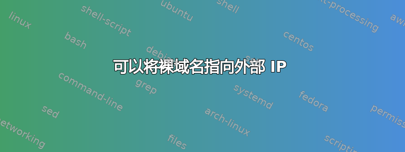 可以将裸域名指向外部 IP