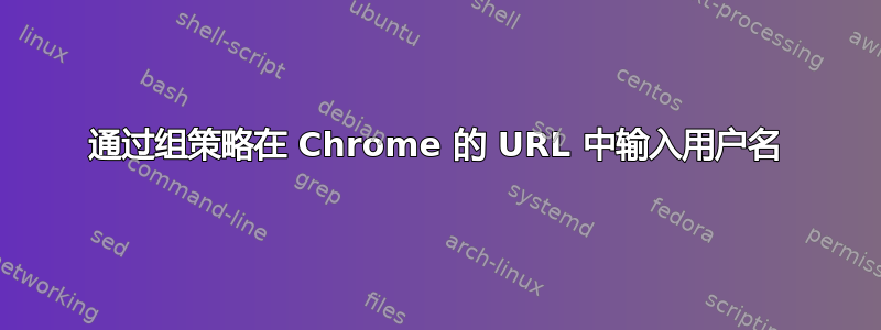 通过组策略在 Chrome 的 URL 中输入用户名