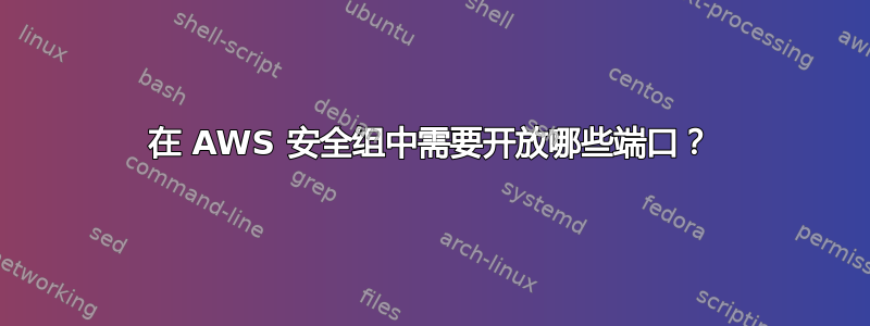 在 AWS 安全组中需要开放哪些端口？