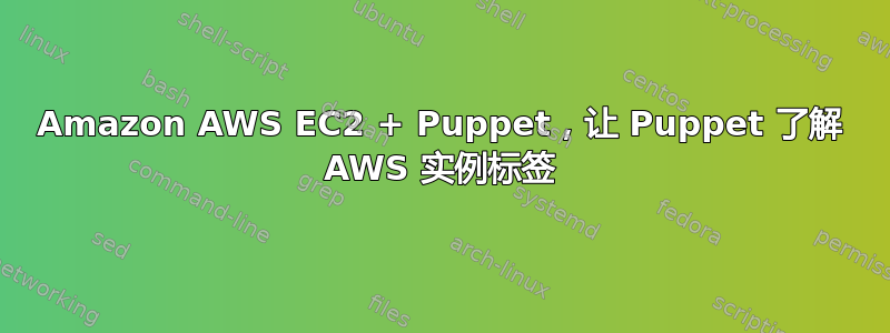 Amazon AWS EC2 + Puppet，让 Puppet 了解 AWS 实例标签