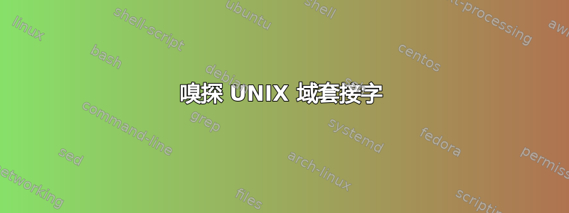 嗅探 UNIX 域套接字