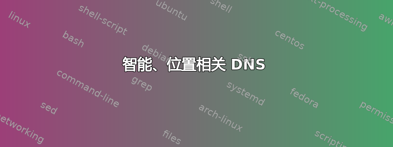 智能、位置相关 DNS