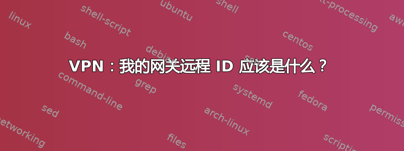 VPN：我的网关远程 ID 应该是什么？