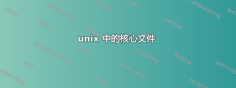 unix 中的核心文件