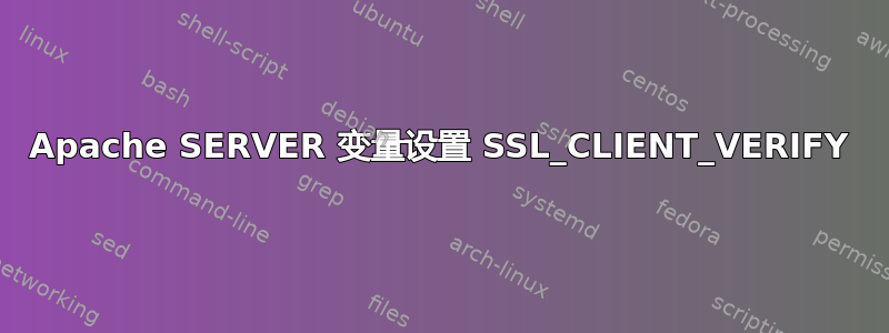 Apache SERVER 变量设置 SSL_CLIENT_VERIFY