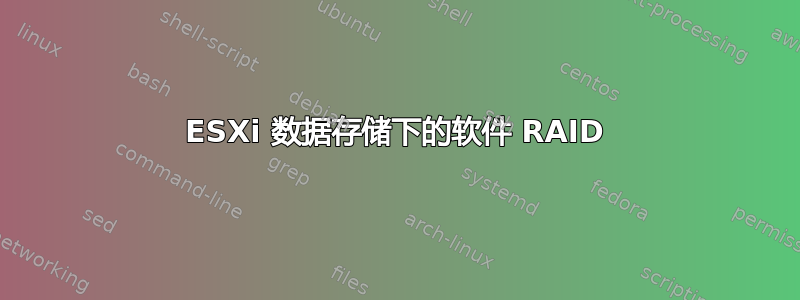 ESXi 数据存储下的软件 RAID