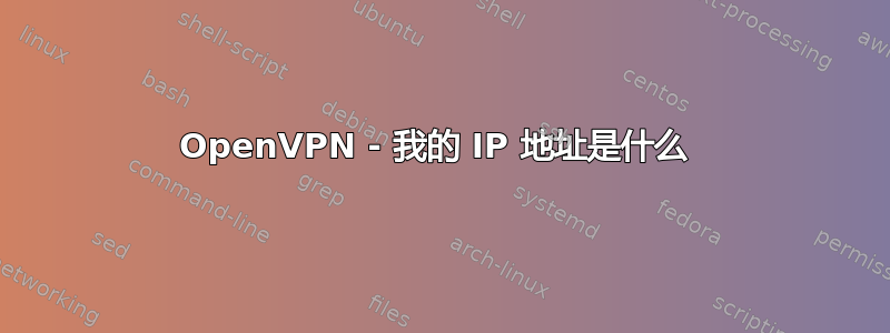 OpenVPN - 我的 IP 地址是什么 