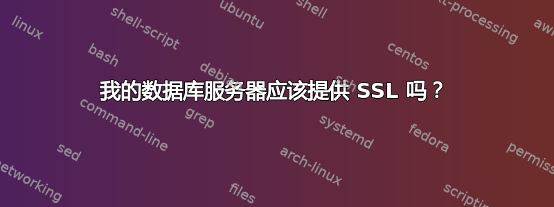 我的数据库服务器应该提供 SSL 吗？