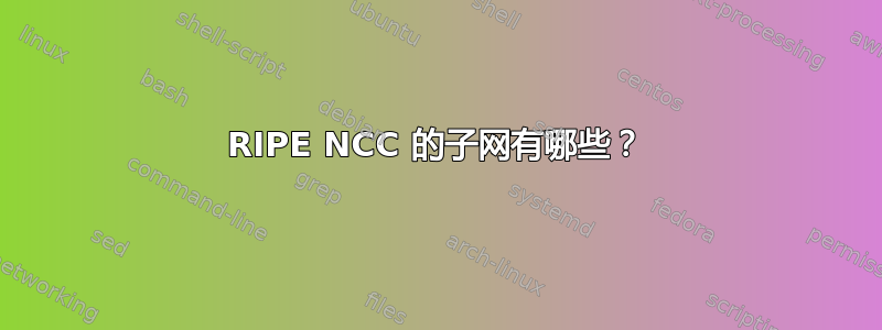 RIPE NCC 的子网有哪些？