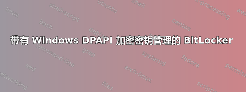 带有 Windows DPAPI 加密密钥管理的 BitLocker