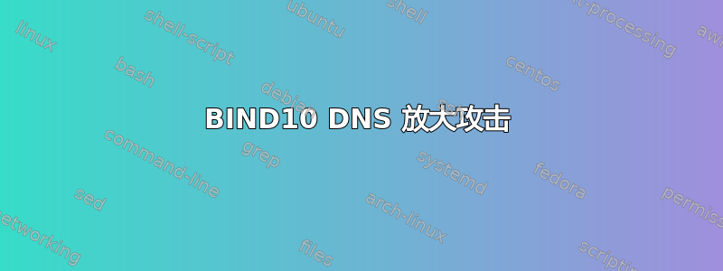 BIND10 DNS 放大攻击