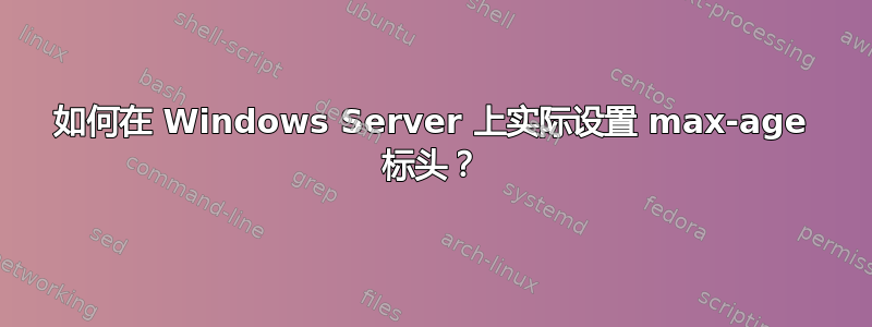 如何在 Windows Server 上实际设置 max-age 标头？