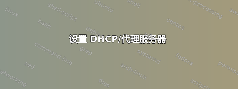 设置 DHCP/代理服务器