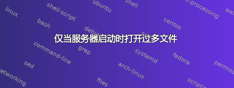 仅当服务器启动时打开过多文件