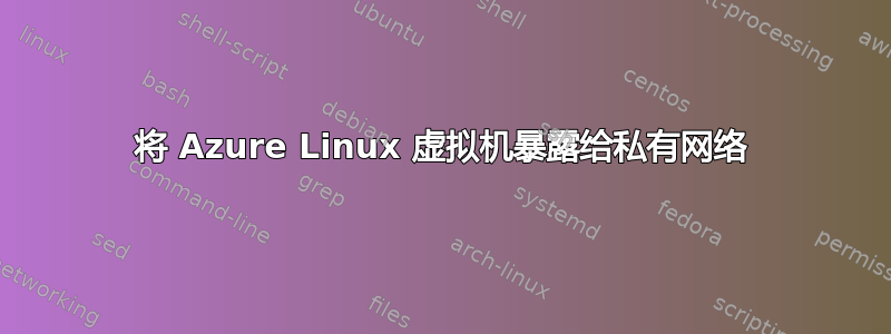 将 Azure Linux 虚拟机暴露给私有网络