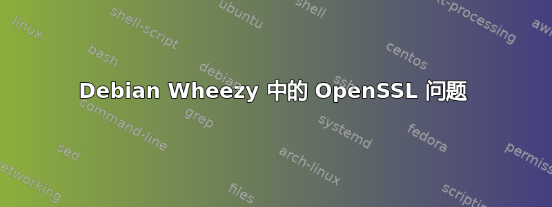 Debian Wheezy 中的 OpenSSL 问题