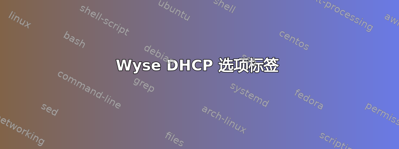 Wyse DHCP 选项标签