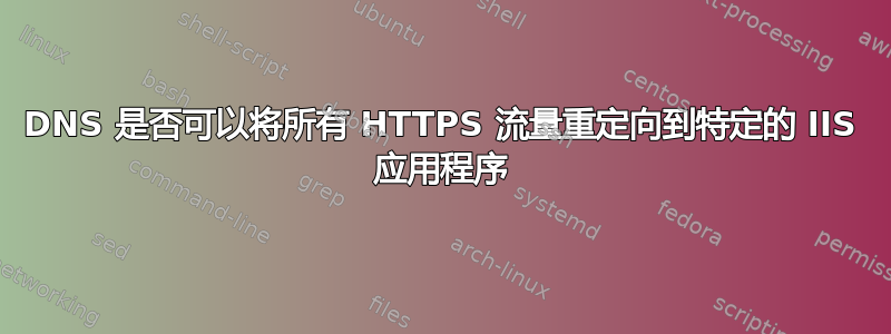 DNS 是否可以将所有 HTTPS 流量重定向到特定的 IIS 应用程序