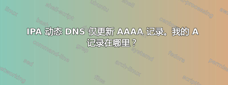 IPA 动态 DNS 仅更新 AAAA 记录。我的 A 记录在哪里？