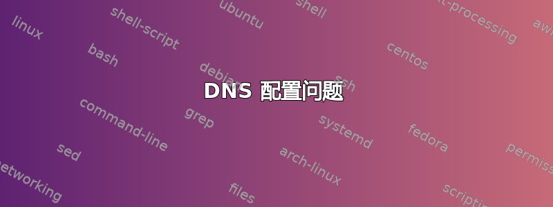 DNS 配置问题