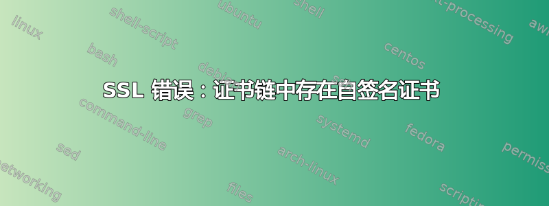 SSL 错误：证书链中存在自签名证书