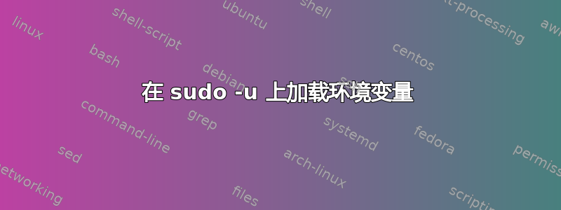 在 sudo -u 上加载环境变量