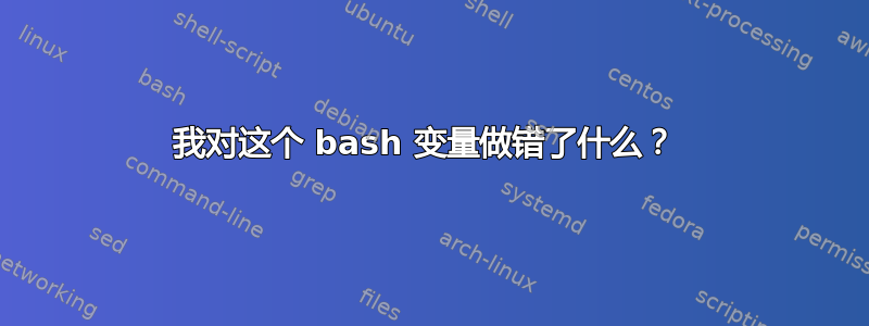 我对这个 bash 变量做错了什么？ 