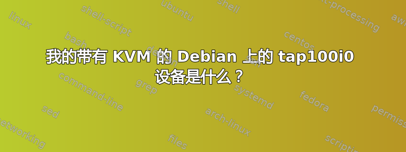 我的带有 KVM 的 Debian 上的 tap100i0 设备是什么？