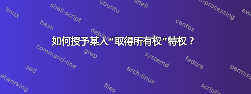 如何授予某人“取得所有权”特权？