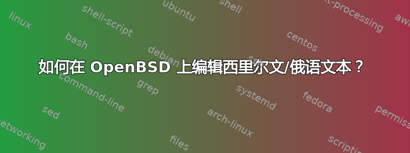 如何在 OpenBSD 上编辑西里尔文/俄语文本？