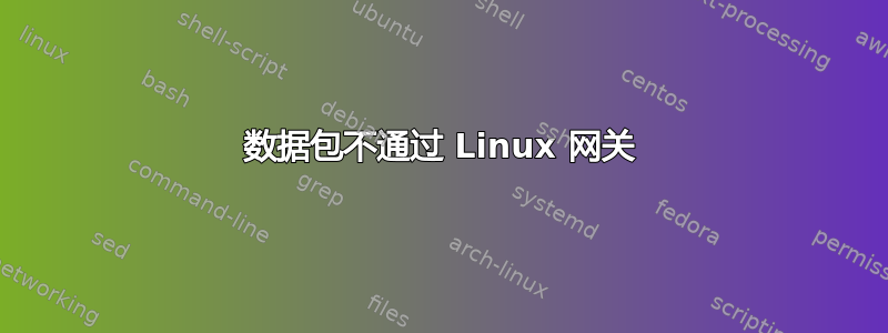 数据包不通过 Linux 网关