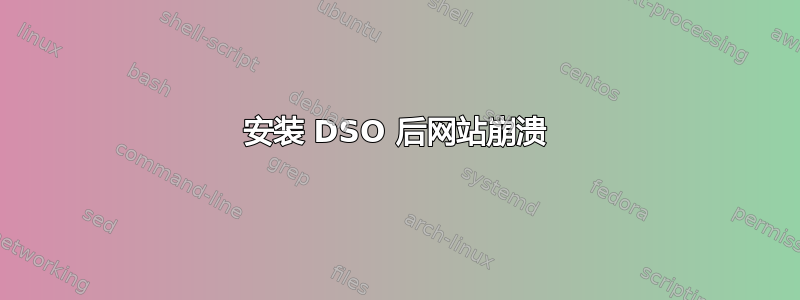 安装 DSO 后网站崩溃