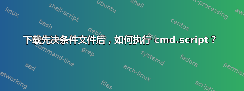 下载先决条件文件后，如何执行 cmd.script？