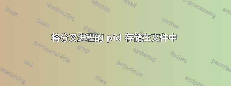 将分叉进程的 pid 存储在文件中