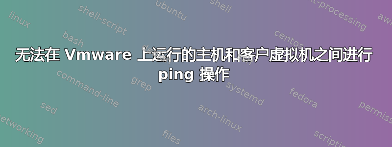 无法在 Vmware 上运行的主机和客户虚拟机之间进行 ping 操作