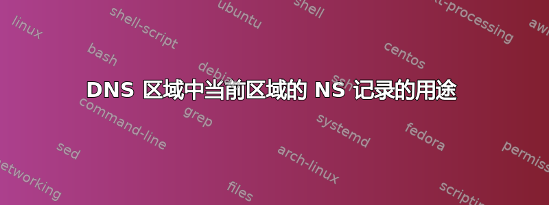 DNS 区域中当前区域的 NS 记录的用途