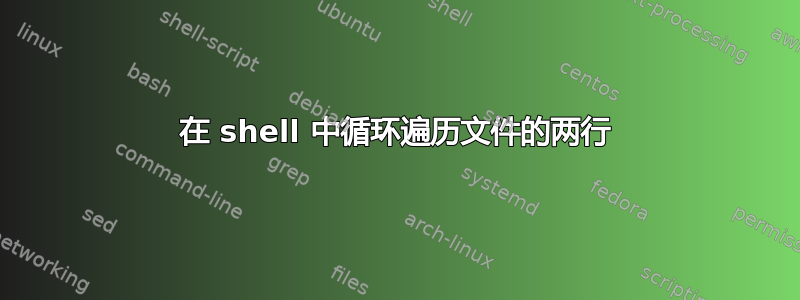 在 shell 中循环遍历文件的两行