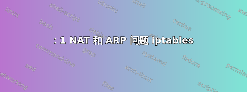 1：1 NAT 和 ARP 问题 iptables