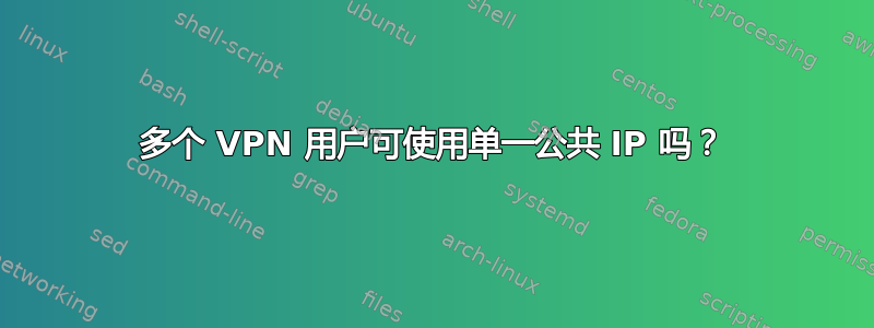 多个 VPN 用户可使用单一公共 IP 吗？