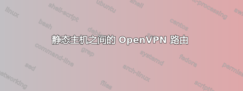 静态主机之间的 OpenVPN 路由