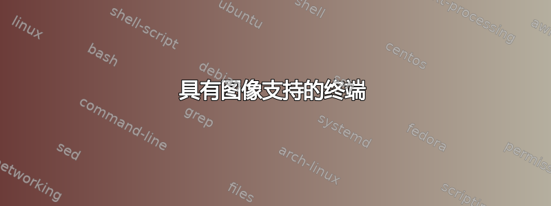 具有图像支持的终端