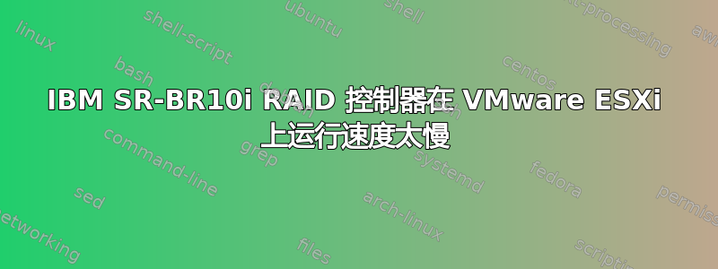 IBM SR-BR10i RAID 控制器在 VMware ESXi 上运行速度太慢