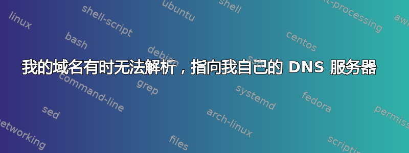 我的域名有时无法解析，指向我自己的 DNS 服务器 