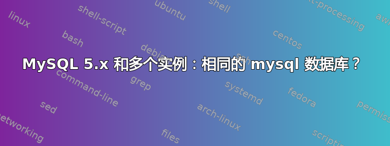 MySQL 5.x 和多个实例：相同的 mysql 数据库？