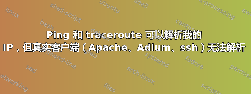 Ping 和 traceroute 可以解析我的 IP，但真实客户端（Apache、Adium、ssh）无法解析