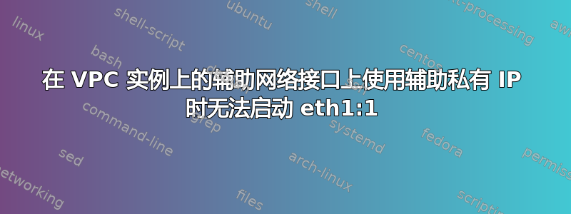 在 VPC 实例上的辅助网络接口上使用辅助私有 IP 时无法启动 eth1:1