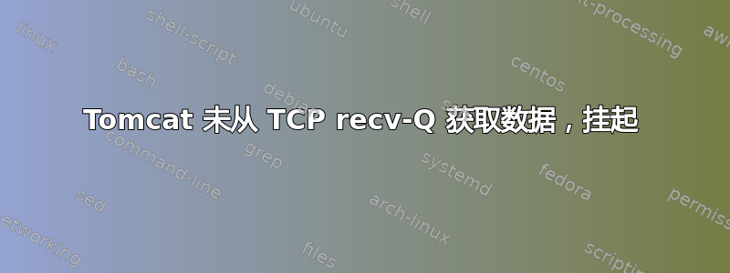 Tomcat 未从 TCP recv-Q 获取数据，挂起