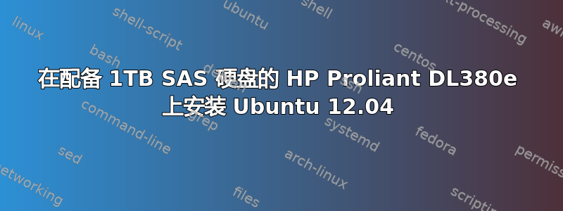 在配备 1TB SAS 硬盘的 HP Proliant DL380e 上安装 Ubuntu 12.04